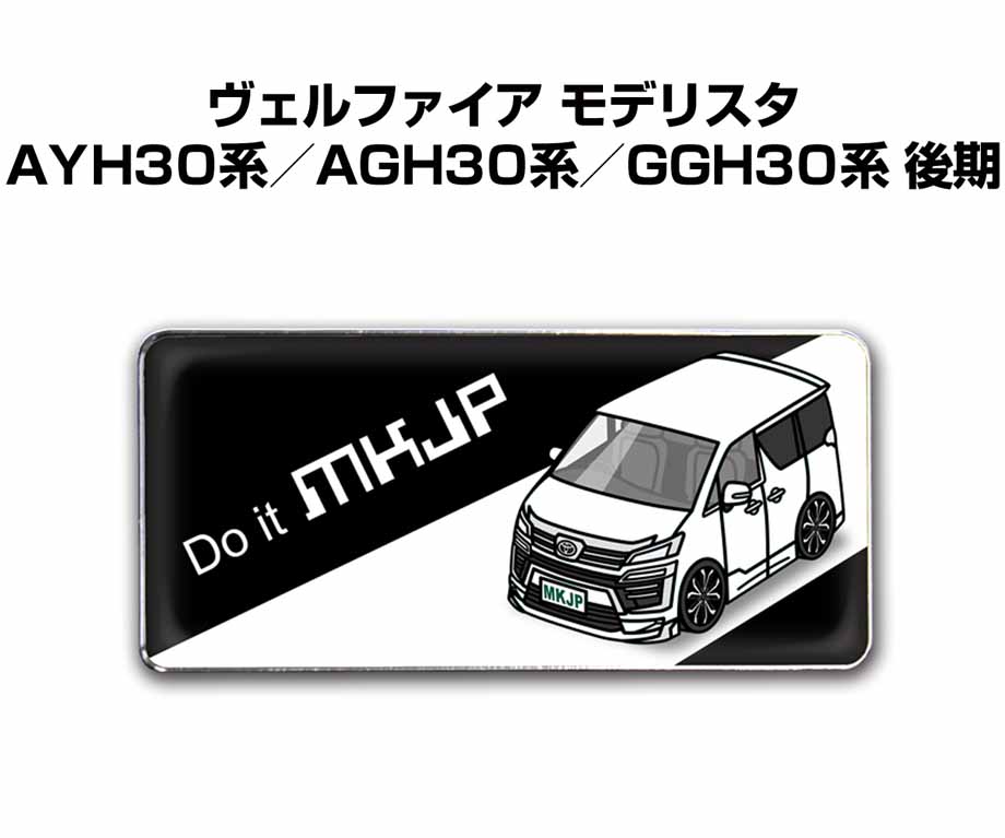 ■サイズ：25mm×55mm ■数量：2個入り ■材質：ABS樹脂、光沢紙、カバーシール ■車の記念や、カーミーティング・オフ会など、これを付ければ愛車への愛着もいっそう深まります。 ■好きな車カラー