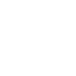 車DVD